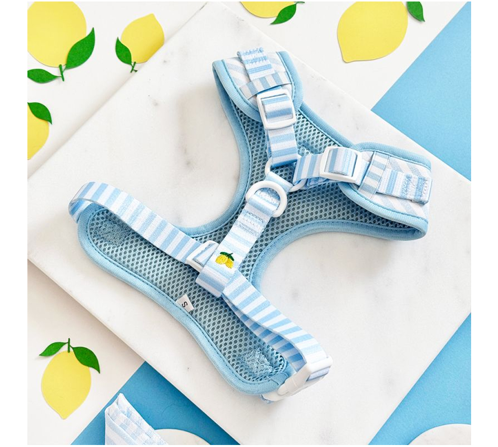 Custom Lemon Print Dog Harness, Collar & Leash 3-Piece Set (4).jpg